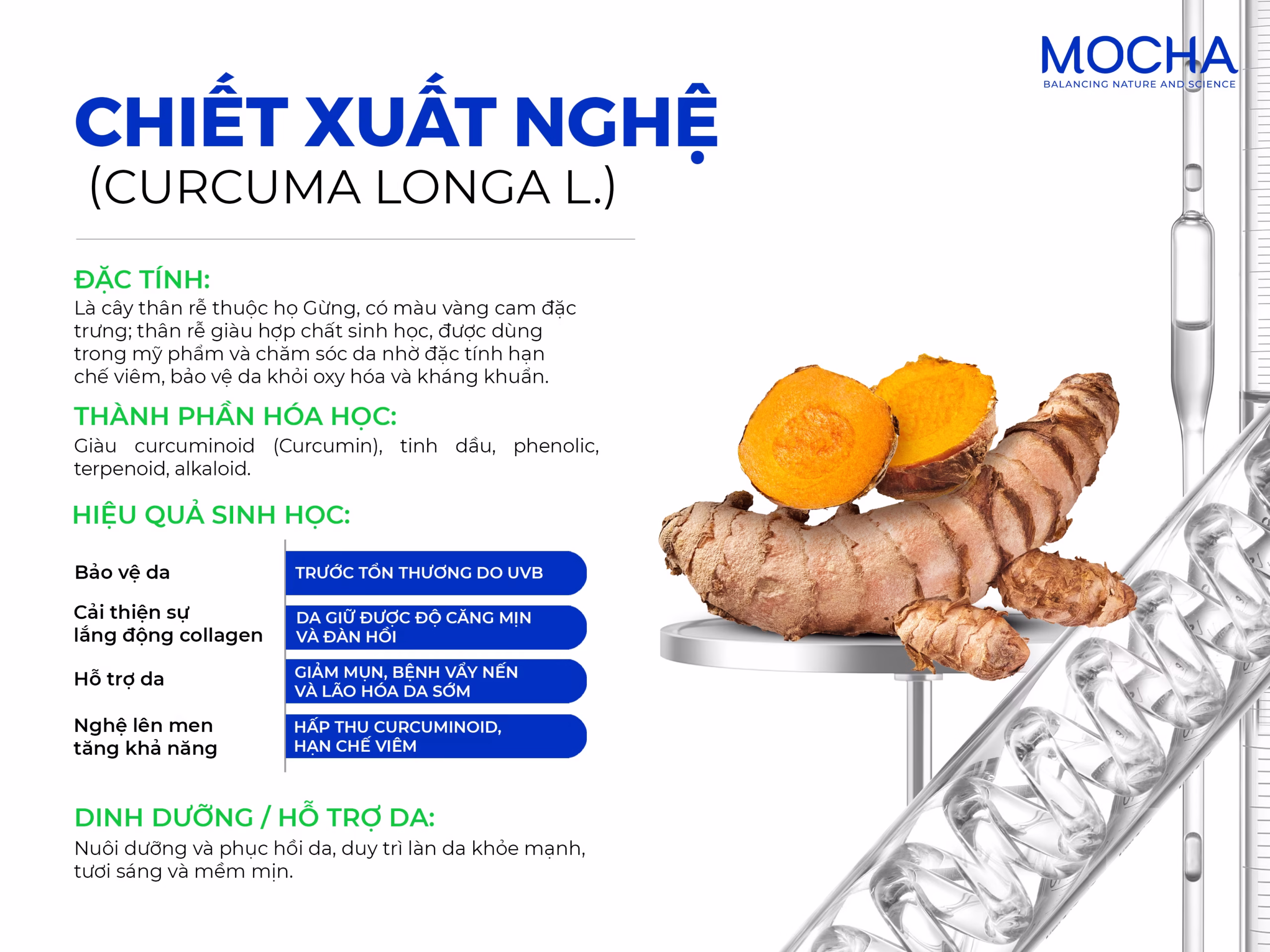 Top 5 thành phần làm mờ nám hiệu quả và an toàn