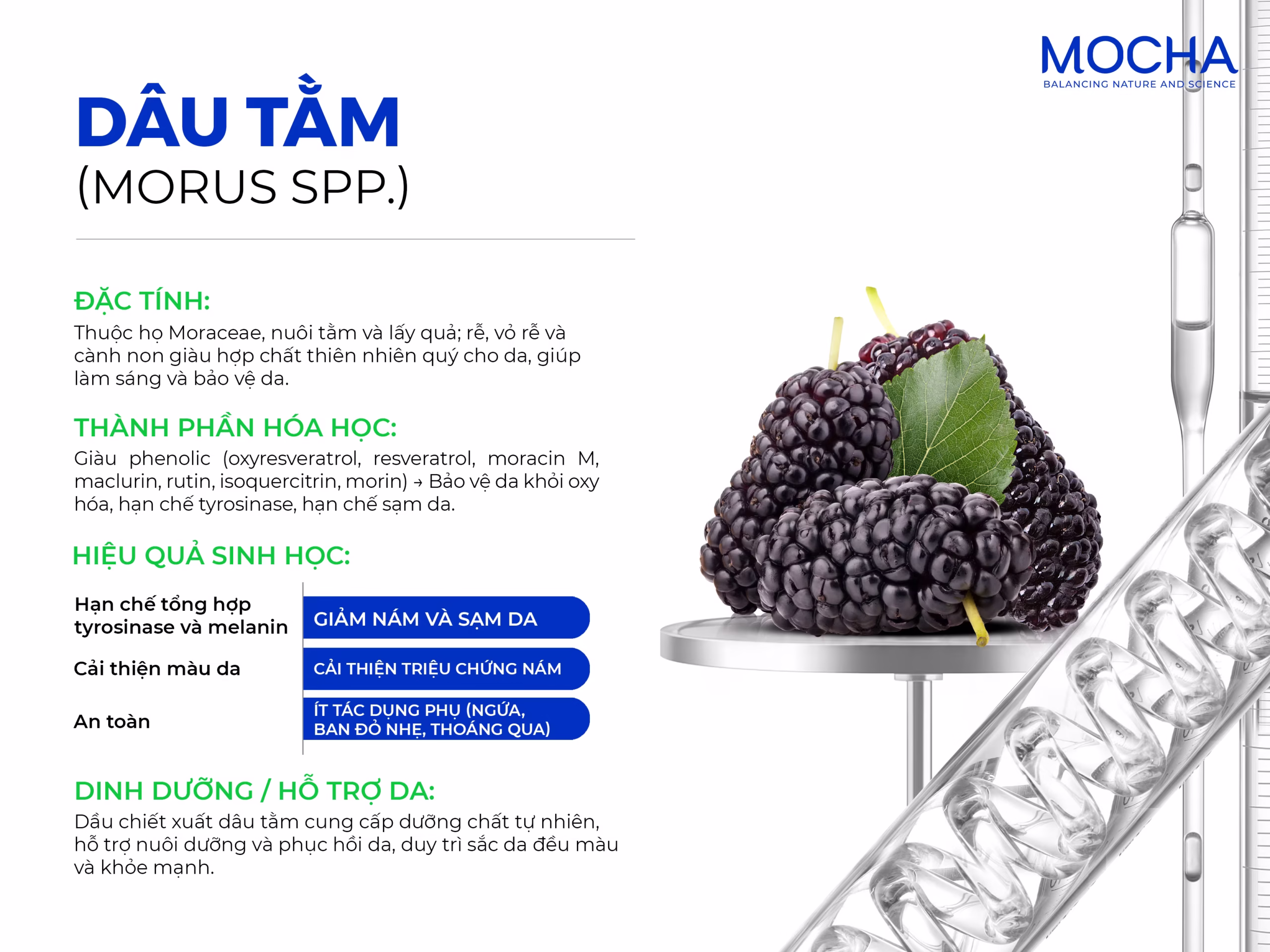 Top 5 thành phần làm mờ nám hiệu quả và an toàn