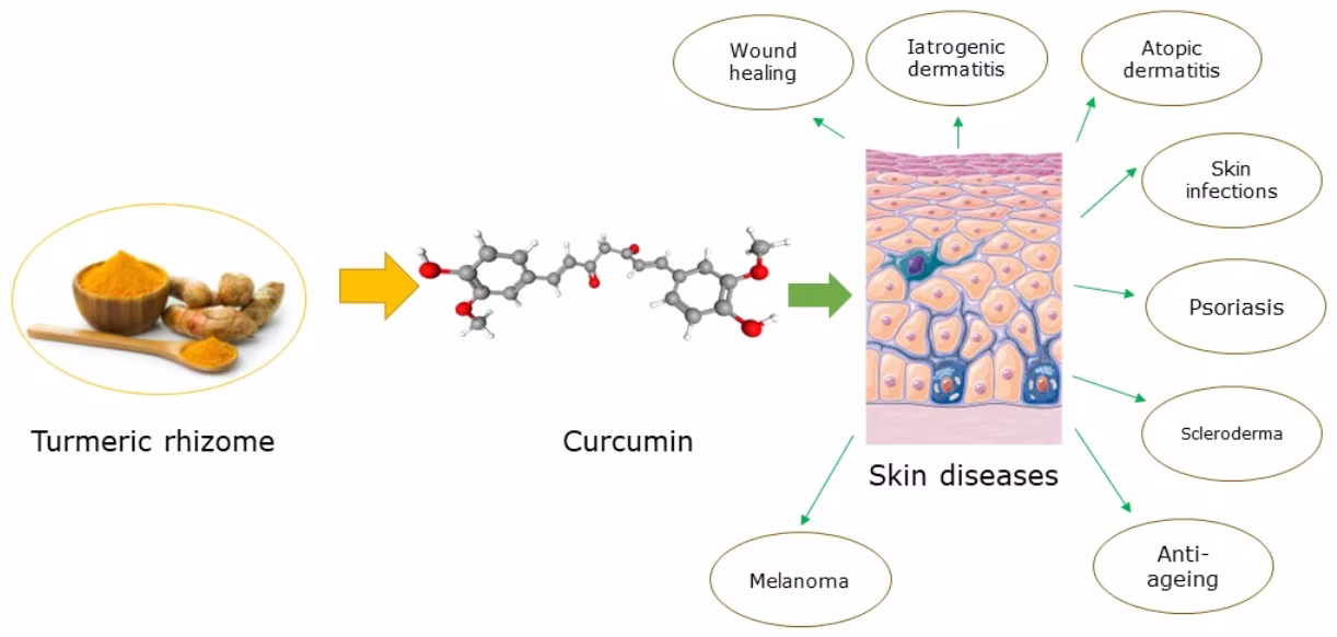 NHỮNG HOẠT CHẤT THIÊN NHIÊN AN TOÀN, HIỆU QUẢ DÀNH CHO DA NÁM 12 NHỮNG HOẠT CHẤT THIÊN NHIÊN AN TOÀN, HIỆU QUẢ DÀNH CHO DA NÁM