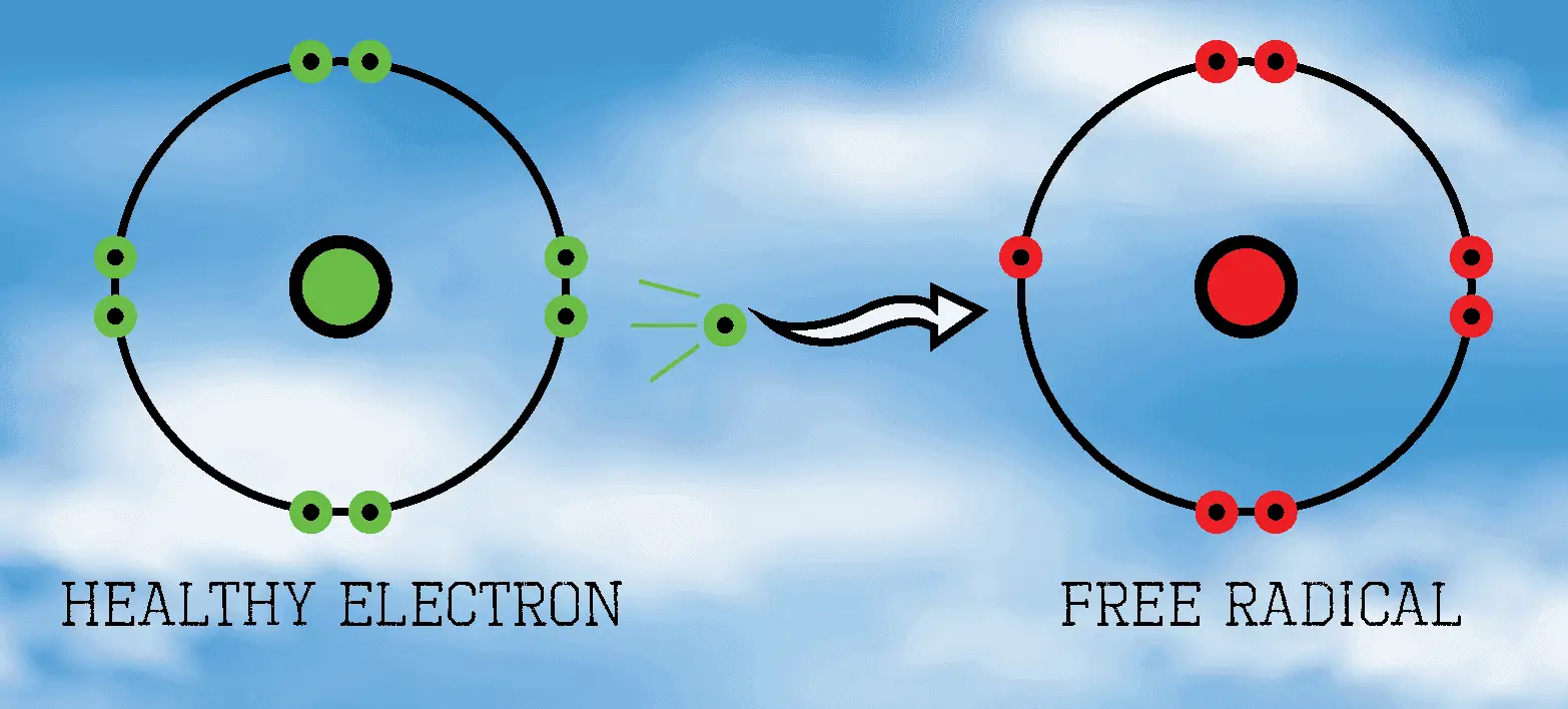 Các chất chống Oxy hóa quan trọng như thế nào cho làn da sạm nám? 1 Các chất chống Oxy hóa quan trọng như thế nào cho làn da sạm nám?