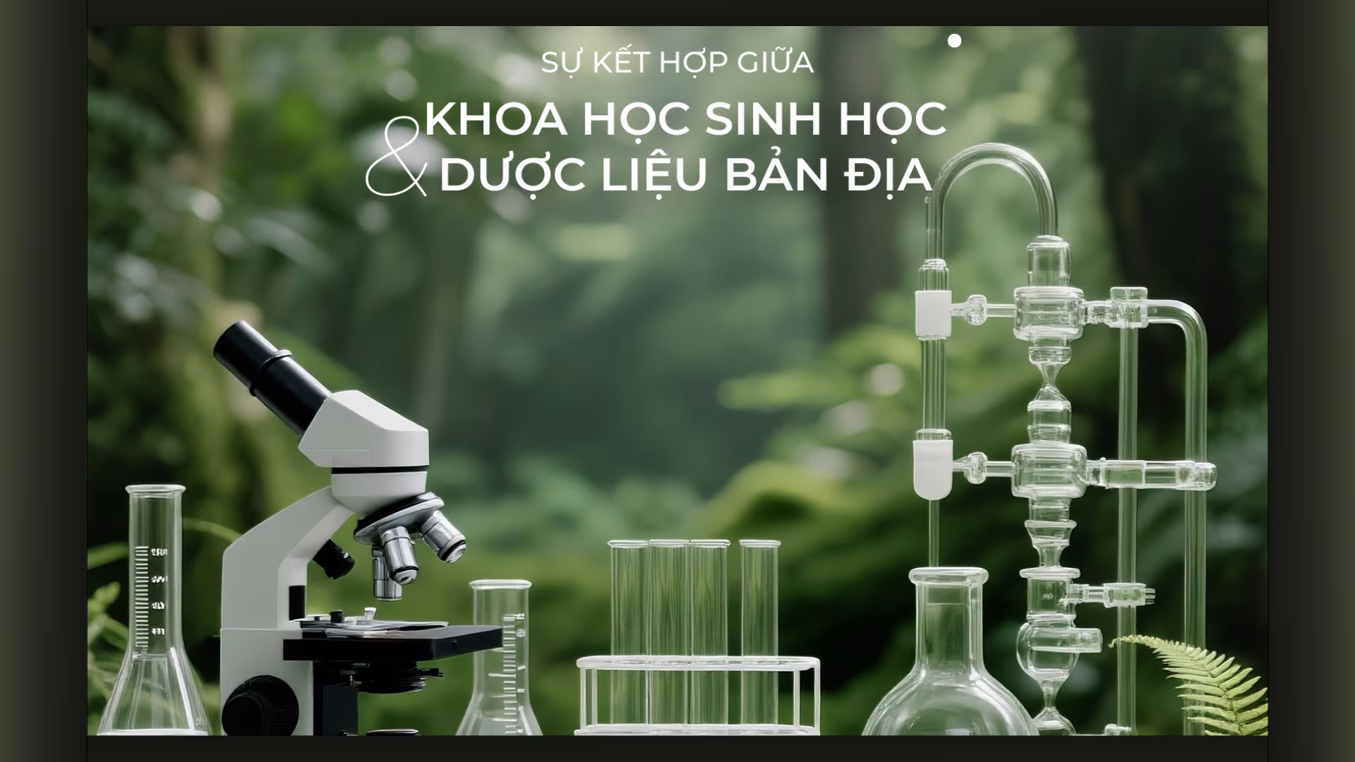 Giải Mã Nám Nội Tiết & Giải Pháp An Toàn Từ Mocha