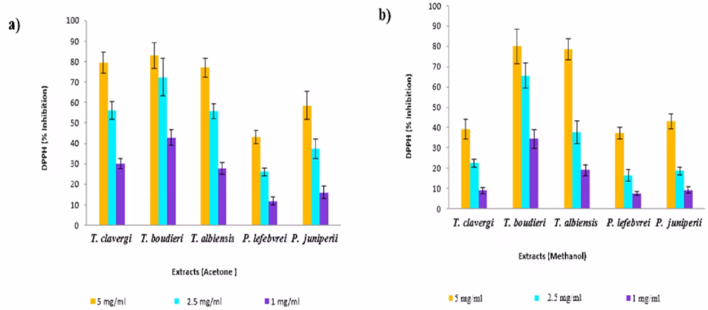 Những hoạt chất thiên nhiên an toàn, hiệu quả dành cho da nám