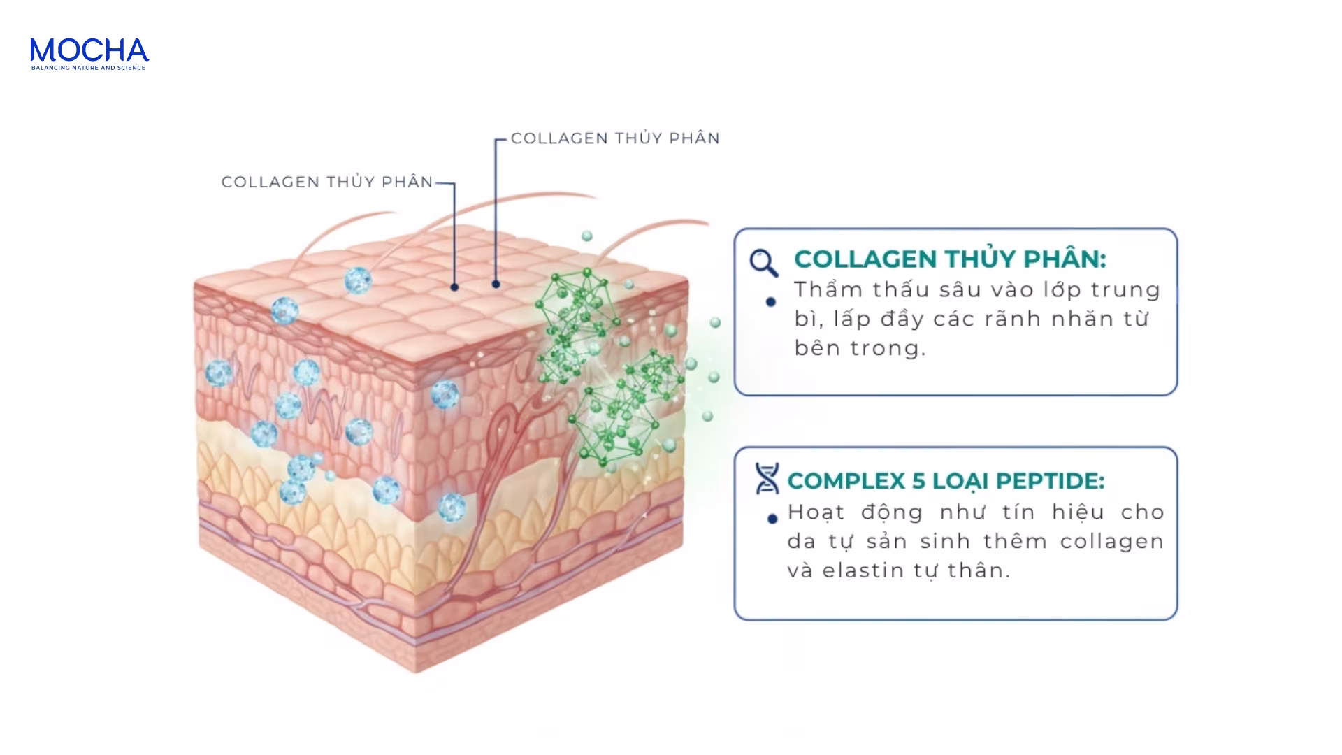 3 lợi ích của kem dưỡng ẩm đối với việc duy trì làn da căng bóng