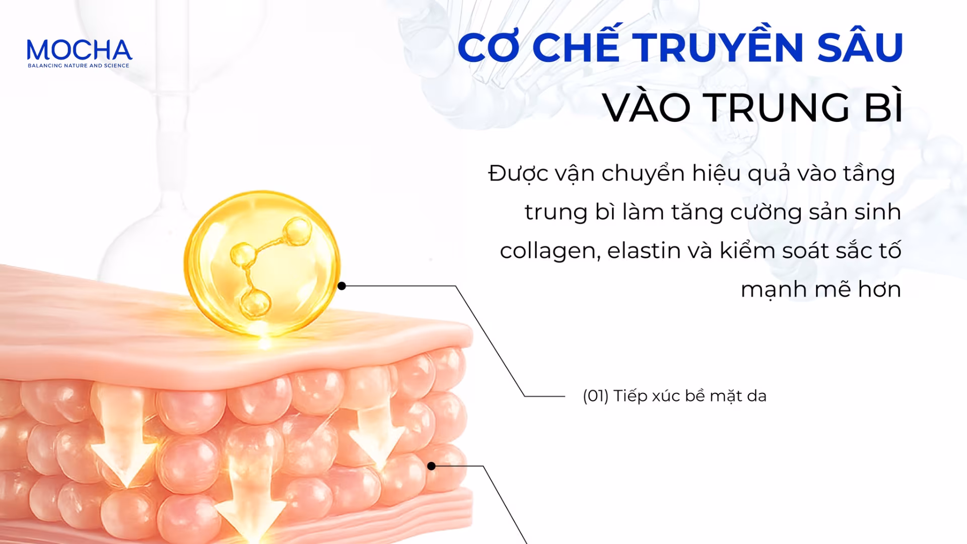 3 tác động phục hồi hàng rào da từ Aminovector