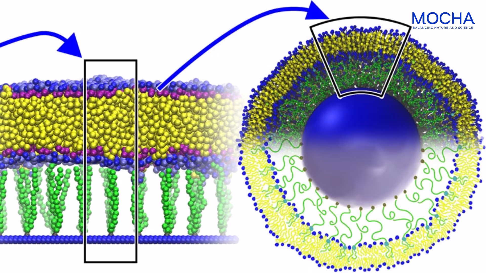 Giải pháp trị sạm nám da không đều màu từ 3 ưu điểmcông nghệ Liposome