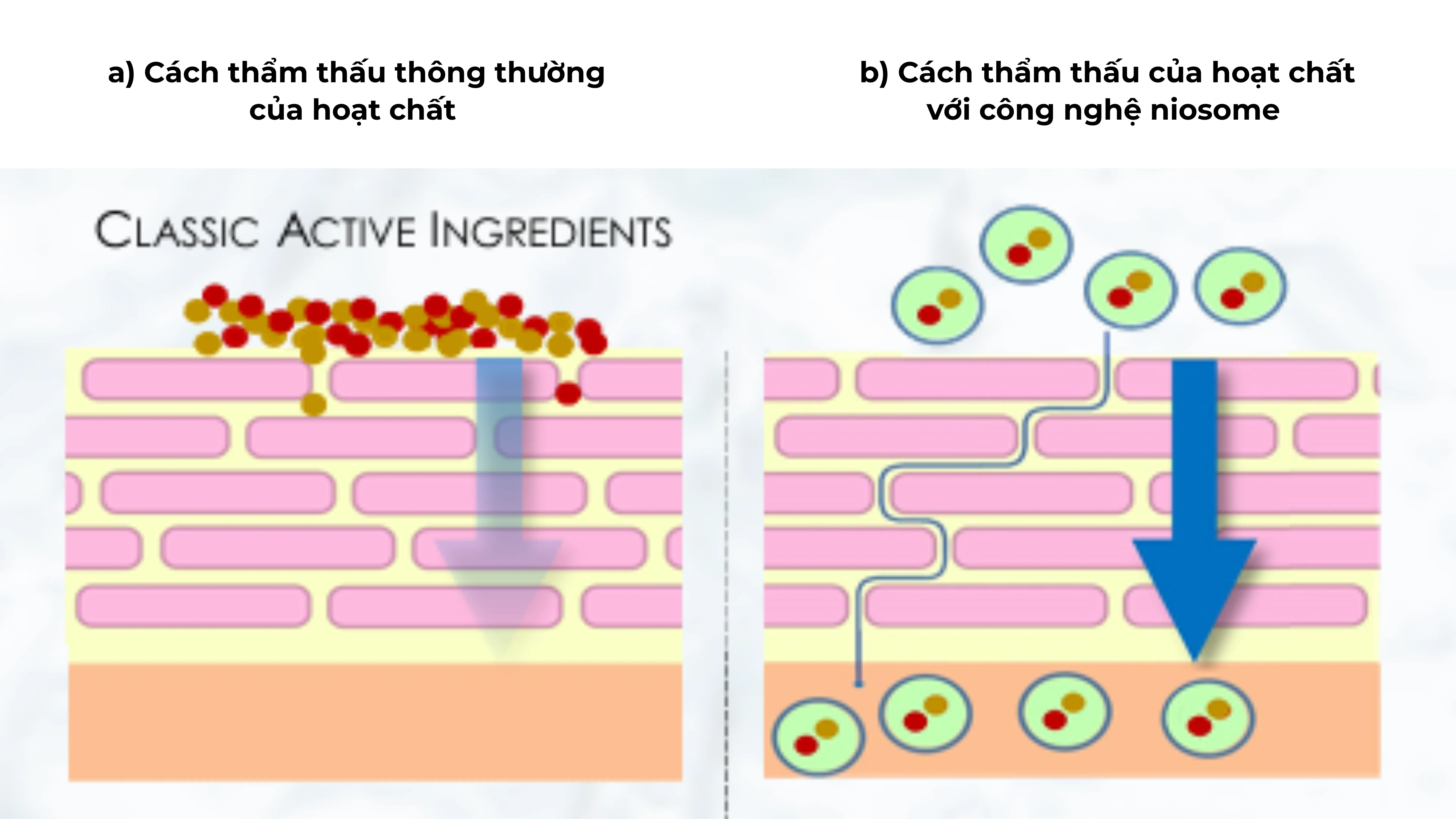NIO-NAG: Hoạt chất thế hệ mới giúp cải thiện lão hóa và sạm nám