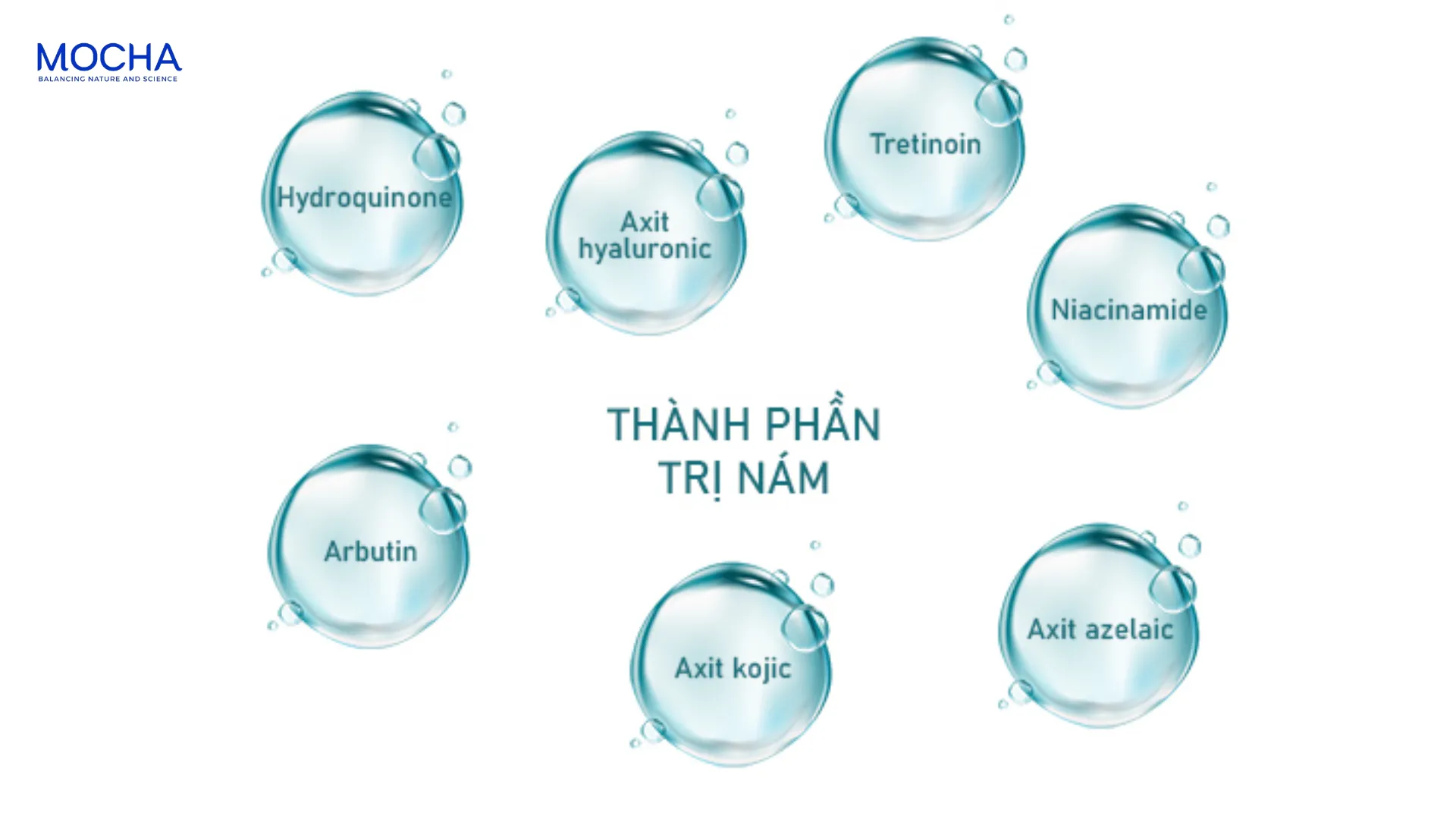 3 cách chống nám từ bên trong: Chế độ dinh dưỡng ức chế Tyrosinase hiệu quả