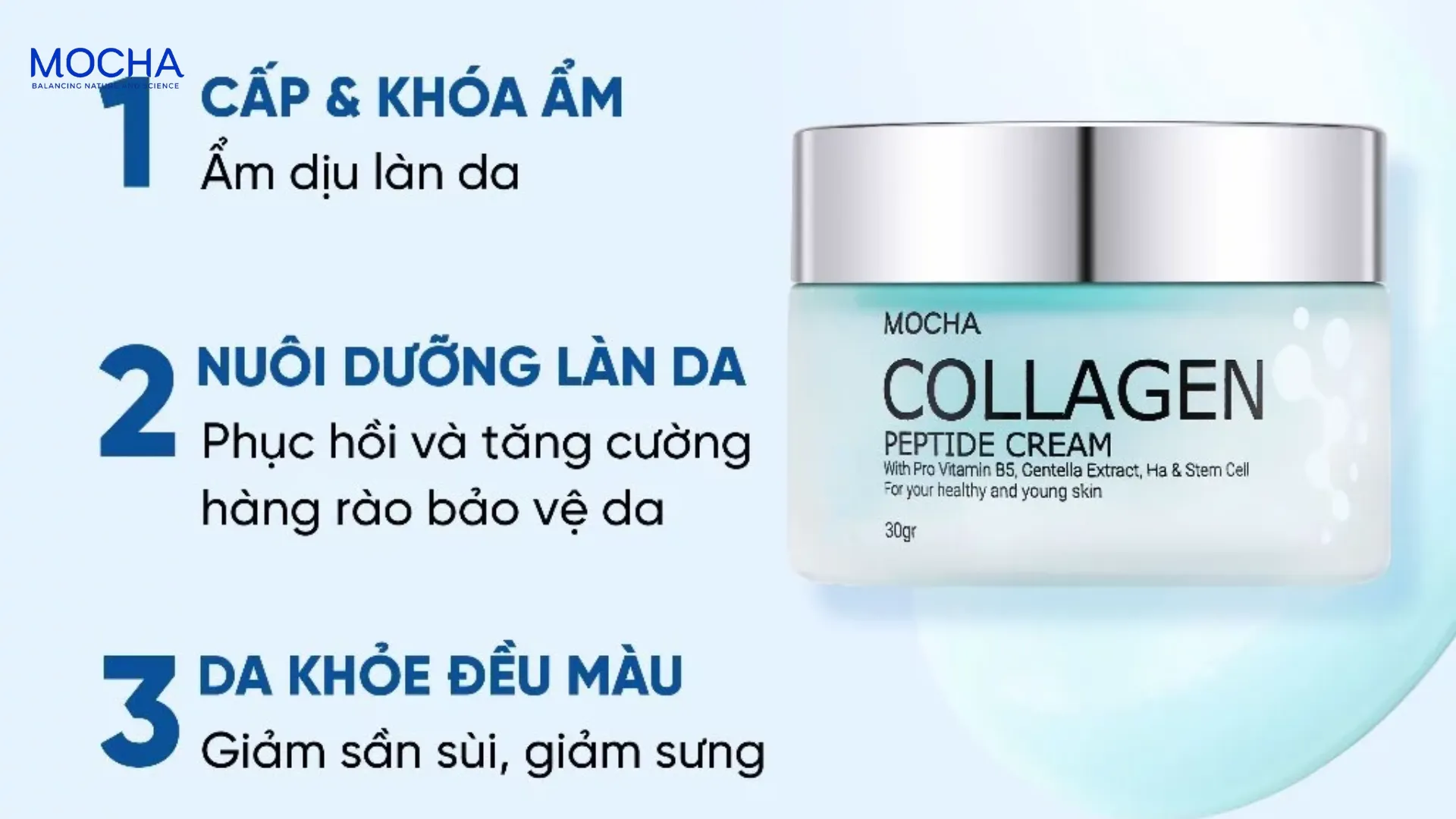 Kem Collagen Mocha: 3 công dụng chống lão hóa và khôi phục đàn hồi cho da