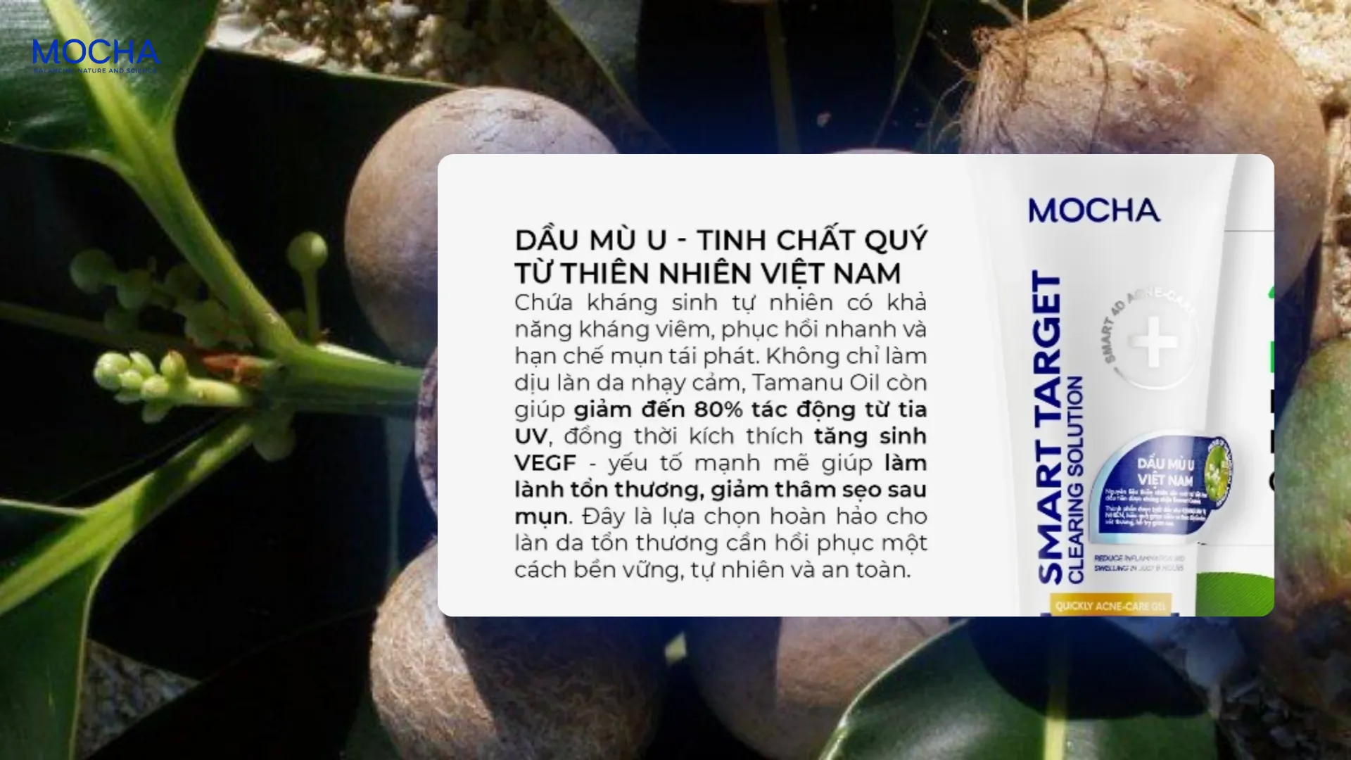 3 tiêu chí đánh giá kem mụn chất lượng cao và an toàn bạn phải biết