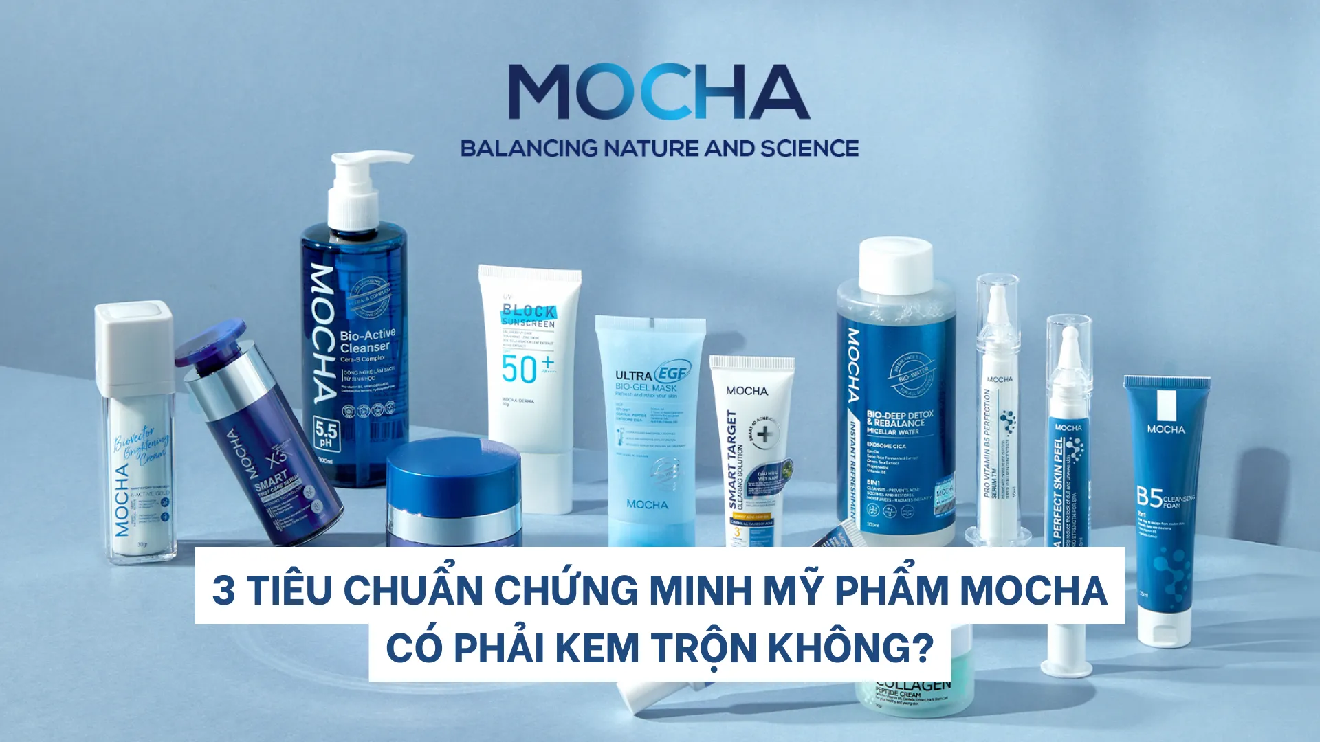 3 tiêu chuẩn chứng minh Mocha có phải kem trộn không?