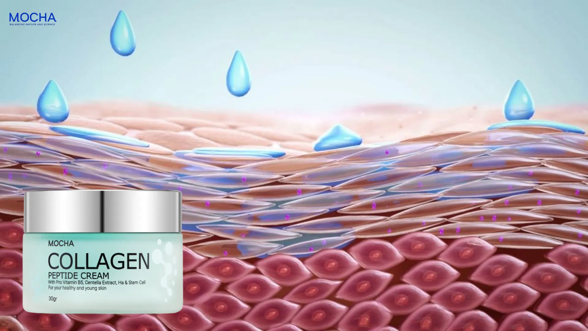 Cách phục hồi Collagen và Elastin đứt gãy do tác hại của tia UVA