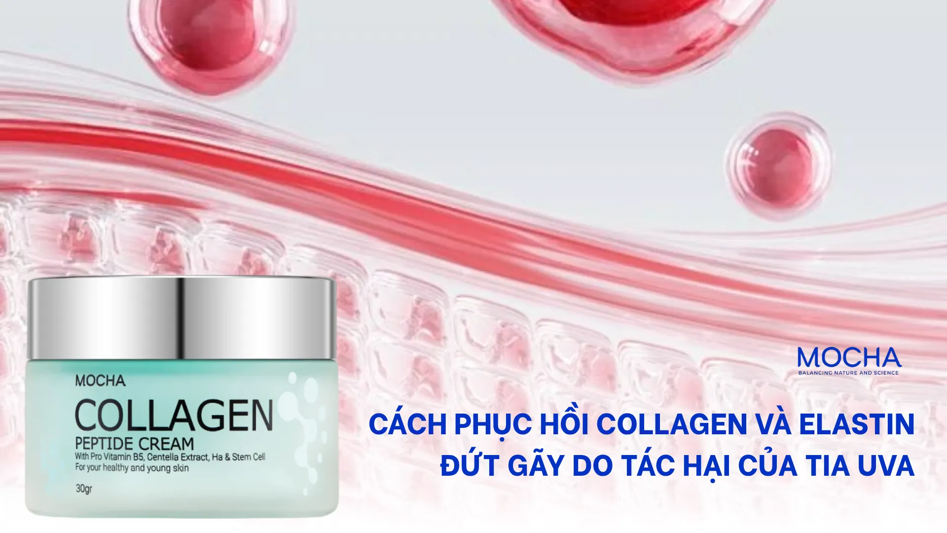 Cách phục hồi Collagen và Elastin đứt gãy do tác hại của tia UVA