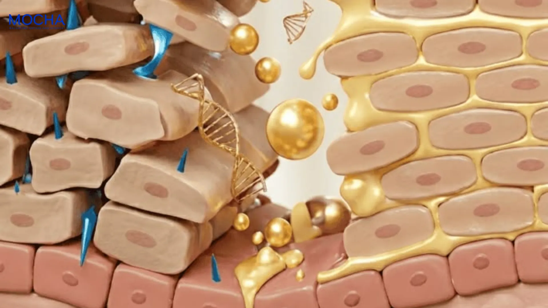 Retinol Mix: Công thức độc quyền kết hợp Retinol và 2 sức mạnh cốt lõi