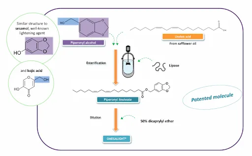 OMEGALIGHT – Hoạt chất bứt phá trong công nghệ làm sáng da an toàn 