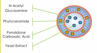 NIO-NAG: Hoạt chất thế hệ mới giúp cải thiện lão hóa và sạm nám
