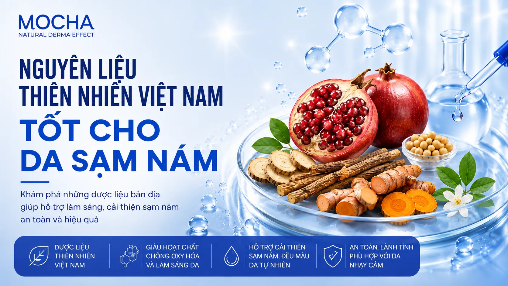 NHỮNG NGUYÊN LIỆU THIÊN NHIÊN VIỆT NAM TỐT CHO DA SẠM NÁM