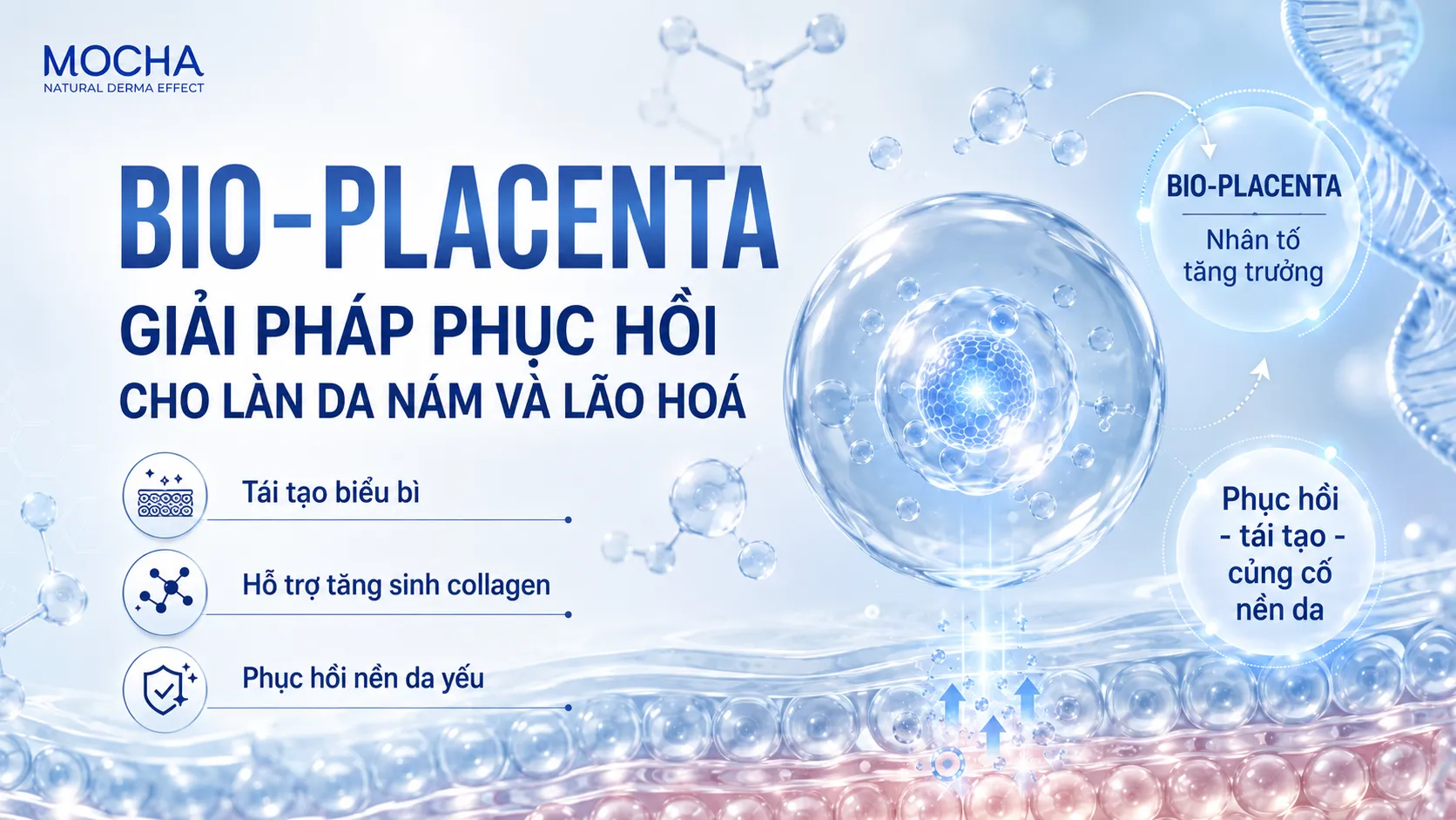 BIO-PLACENTA – GIẢI PHÁP PHỤC HỒI CHO LÀN DA NÁM VÀ LÃO HOÁ