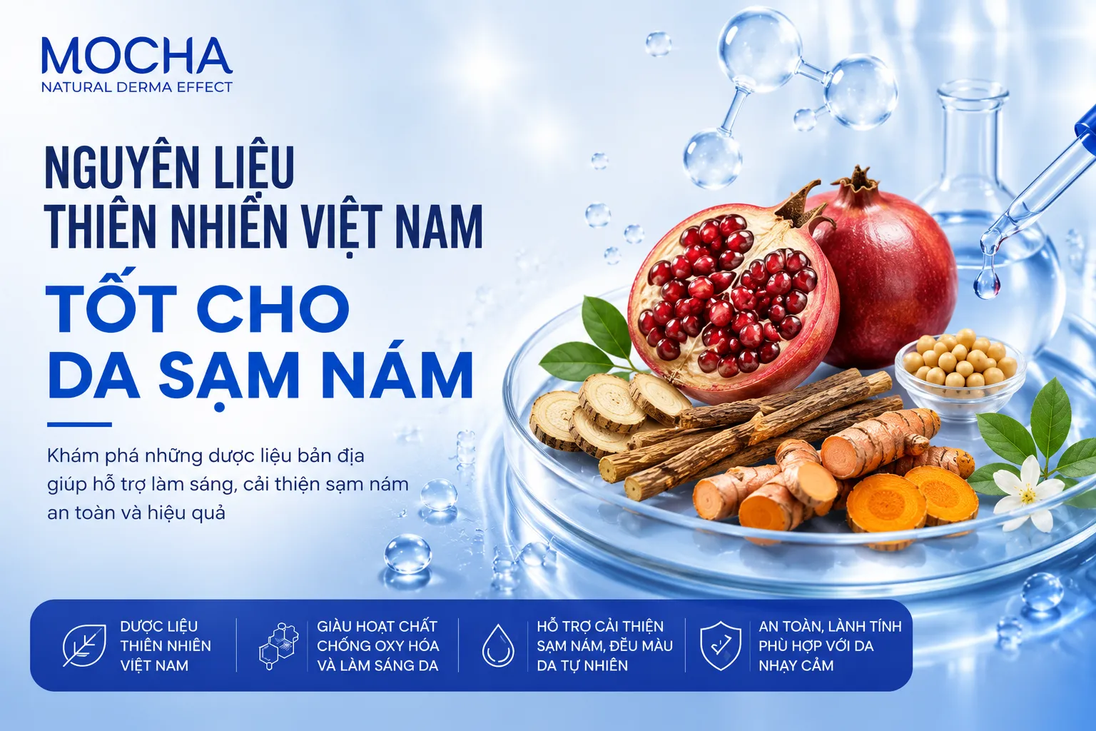 NHỮNG NGUYÊN LIỆU THIÊN NHIÊN VIỆT NAM TỐT CHO DA SẠM NÁM