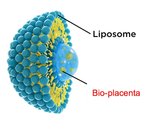 BIO-PLACENTA – GIẢI PHÁP PHỤC HỒI CHO LÀN DA NÁM VÀ LÃO HOÁ