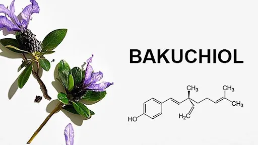 NHỮNG THÀNH PHẦN LÀM MỜ THÂM SẠM TỐT CHO DA NHẠY CẢM, DA SAU KEM TRỘN