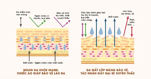 NHỮNG THÀNH PHẦN LÀM MỜ THÂM SẠM TỐT CHO DA NHẠY CẢM, DA SAU KEM TRỘN